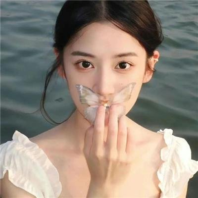 人来客往